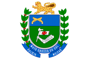 PM-MS
